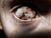 Gothic eyes wallpaper 5